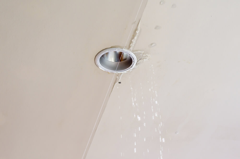 How to Spot Black Mold from Leaks: A Homeowner’s Guide