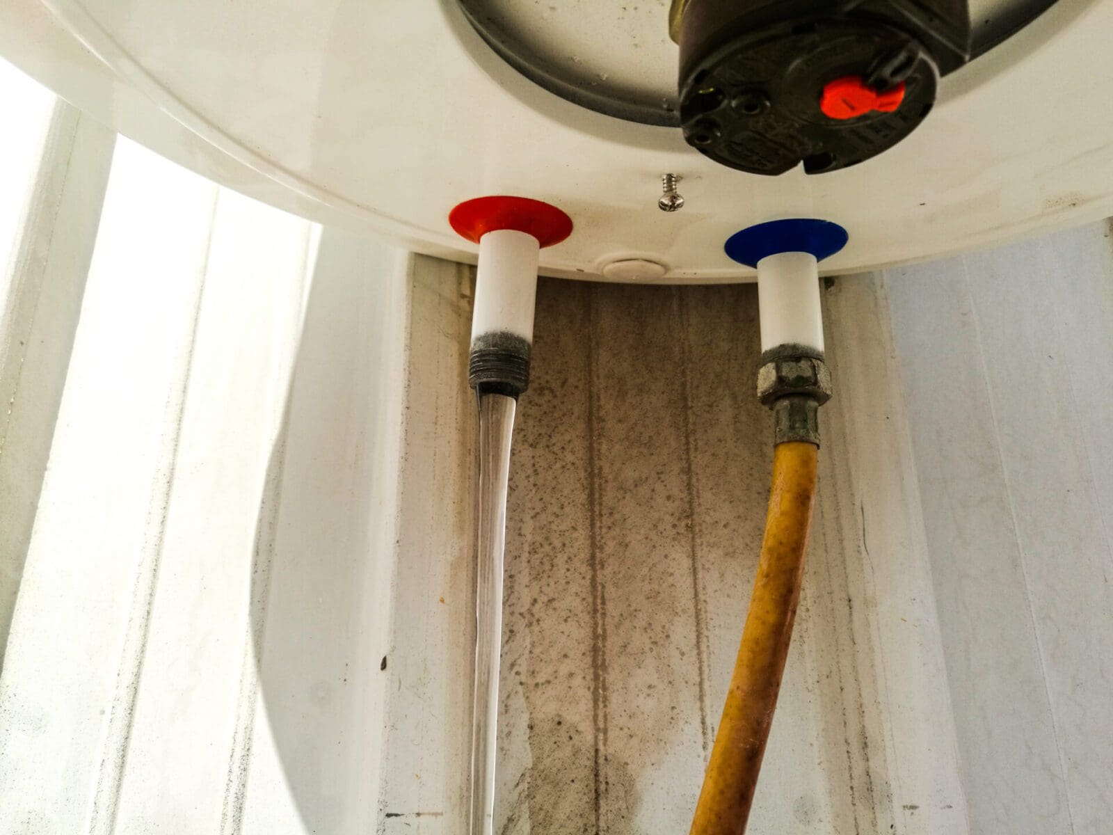 smell detection of hidden leaks