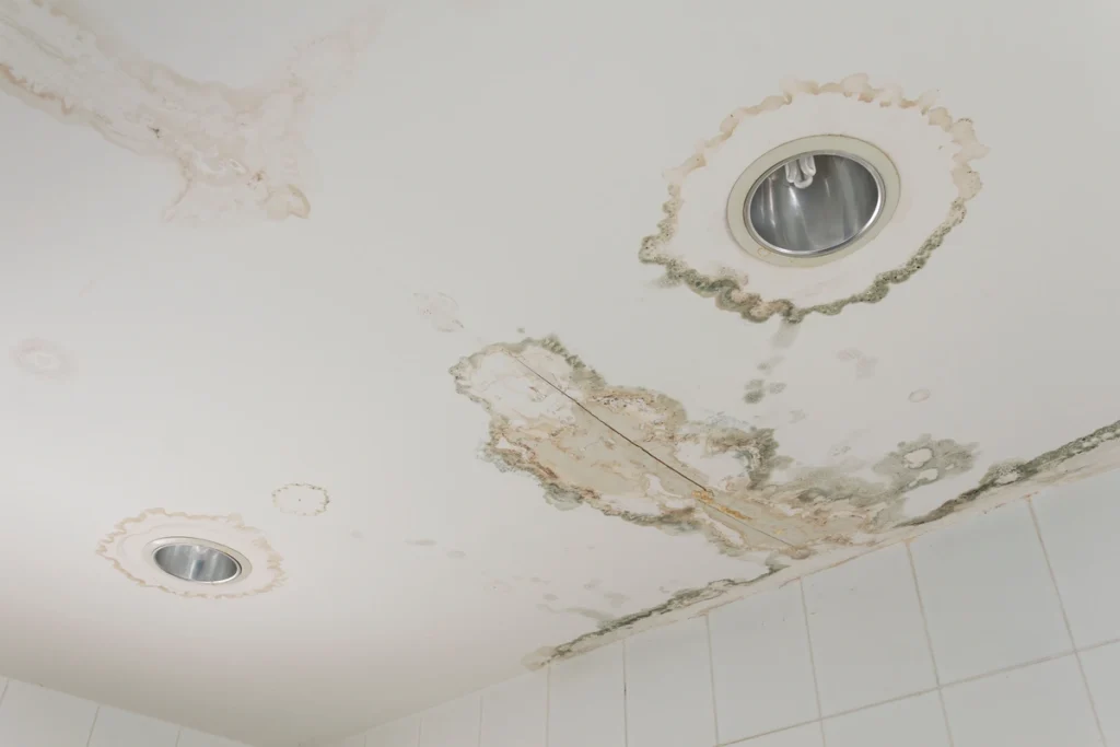 preventing mold after water damage