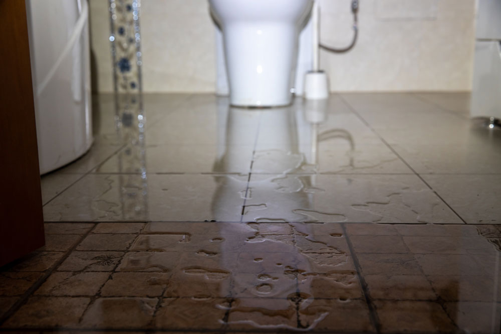 Understanding Smell Detection of Hidden Leaks Effectively
