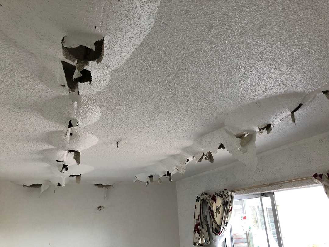 how to prevent water damage in your home How to Prevent Water Damage in Your Home: Essential Tips