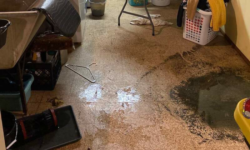 flood damage prevention tips Flood Damage Prevention Tips for Every Home