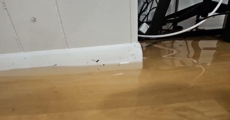 monsoon flood home preparation Monsoon Flood Home Preparation Guide