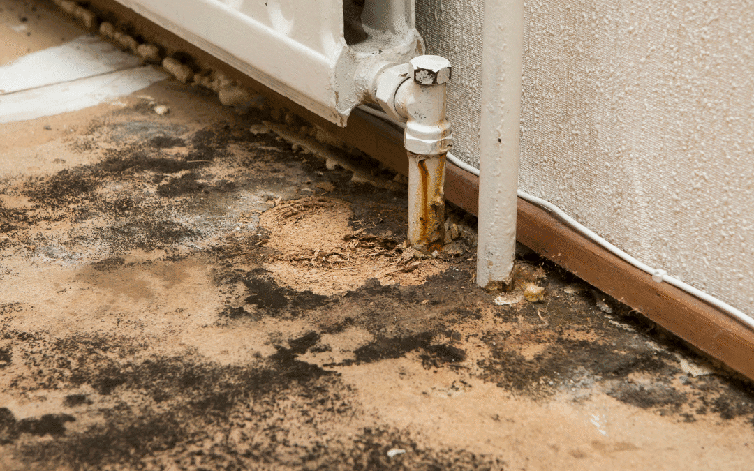 basement water seepage prevention Basement Water Seepage Prevention Methods That Work