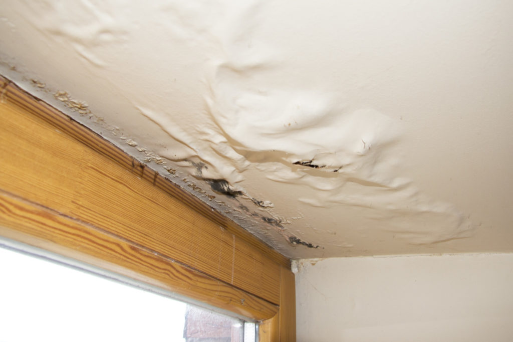 How to Prevent Mold After Water Damage