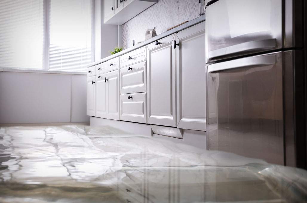 Importance of Dehumidifiers in Water Damage Prevention
