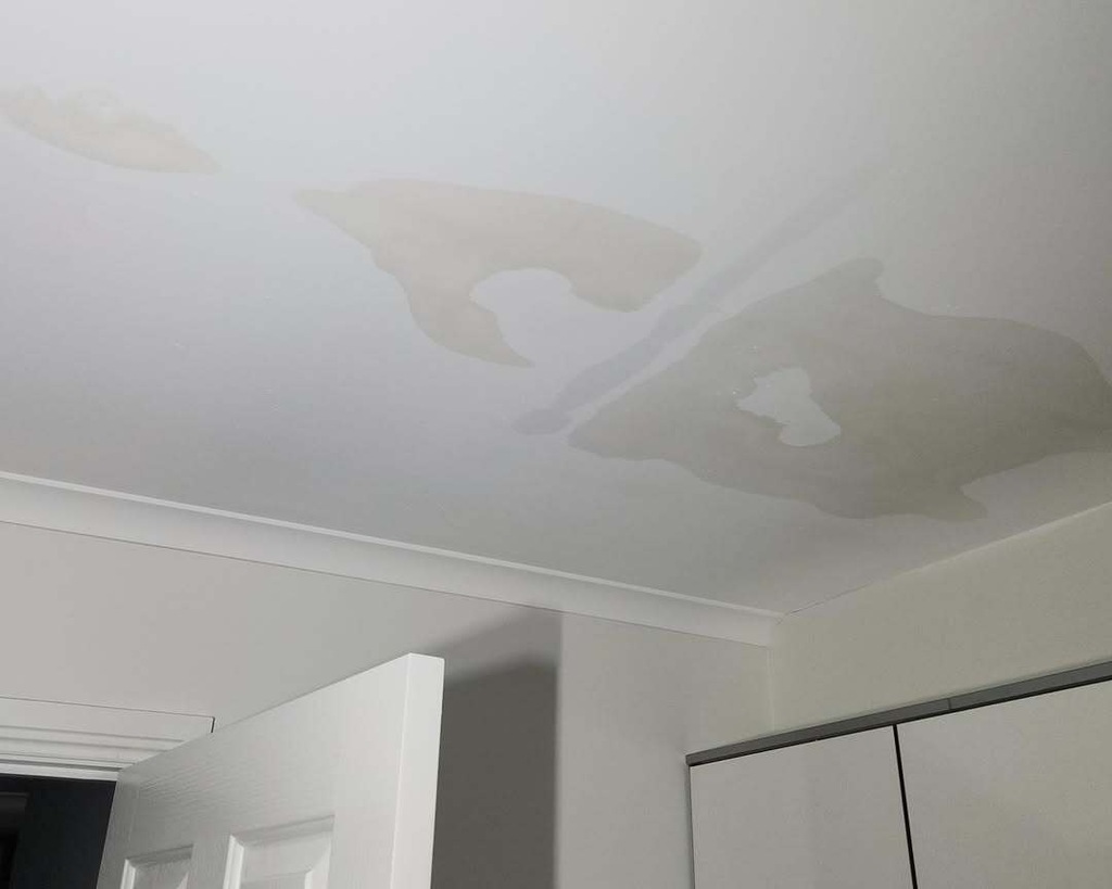 importance of dehumidifiers in water prevention Importance of Dehumidifiers in Water Damage Prevention