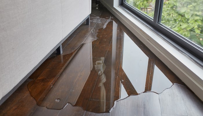Signs of Mold Due to Hidden Leaks