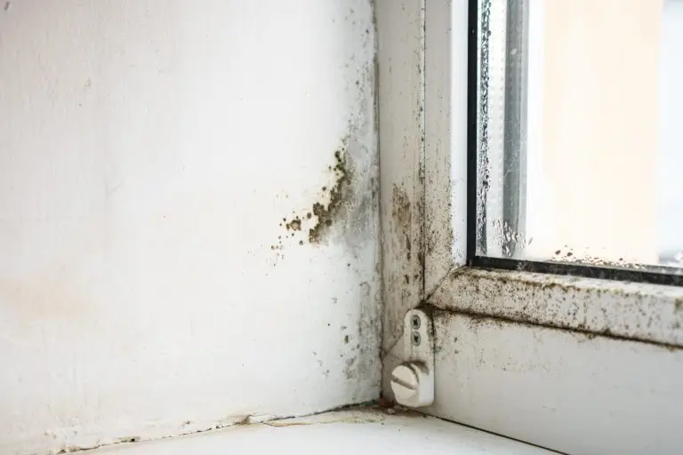 Smart Home Upgrades for Water Damage Prevention
