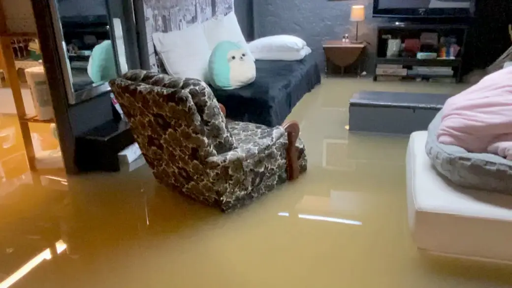 Health Risks After Home Flooding Explained