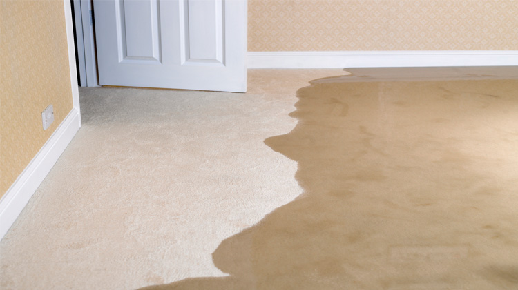 Temporary Flood Protection for Homes