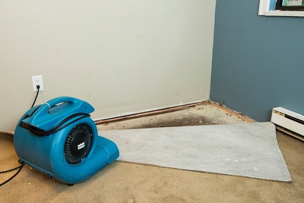 urban flooding prevention tips Urban Flooding Prevention Tips for Homeowners