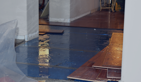why prevention reduces insurance claims Why Prevention Reduces Insurance Claims