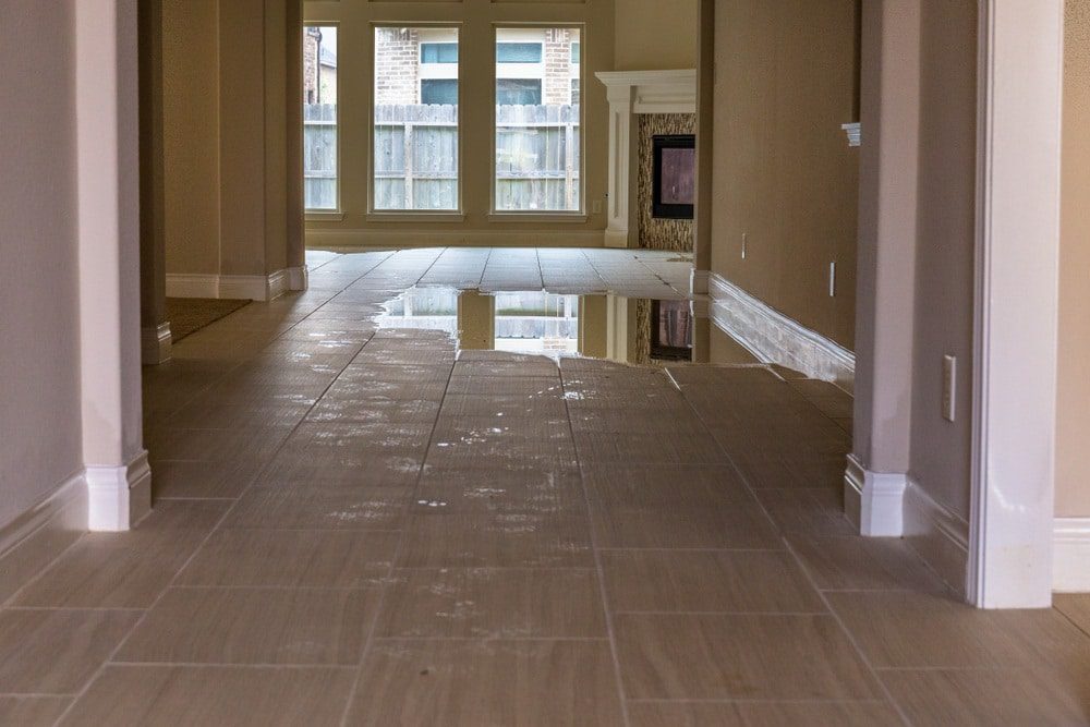 drying wet carpets after leak Drying Wet Carpets After a Water Leak