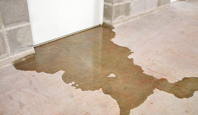 how to detect mold behind walls How to Detect Mold Behind Walls