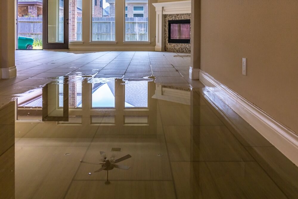 How to Fix Water Damage Before Mold Starts