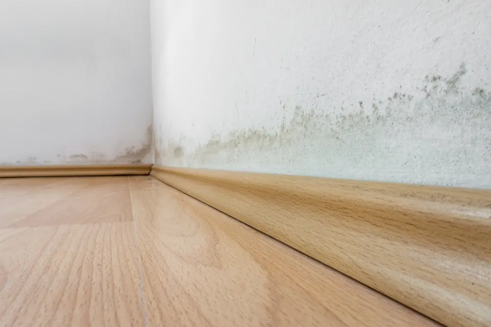 How to Handle Snowmelt Near Foundation Safely