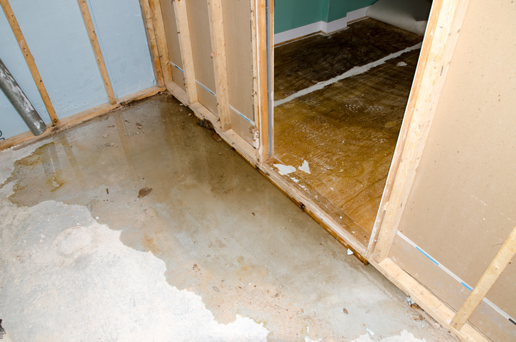 how to improve yard drainage How to Improve Yard Drainage to Prevent Water Damage